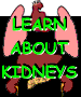 Begin learning about kidney transplantation here