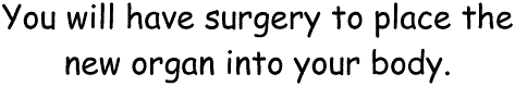 You will have surgery to place the new organ into your body